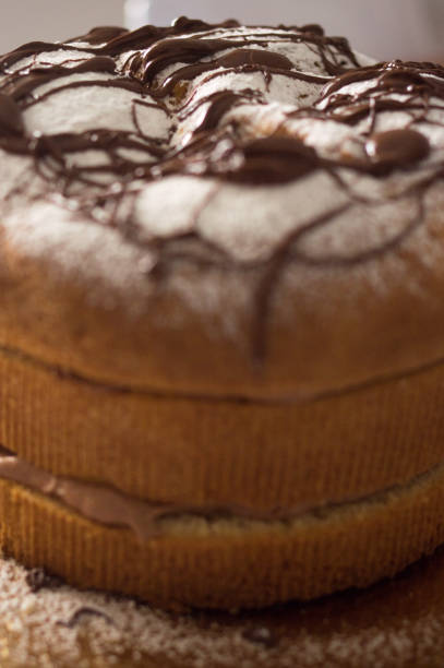 istock Chocolate cake at home in Covid time 1224558018