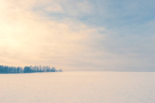 istock Evening over a clear field with snow 1224558759