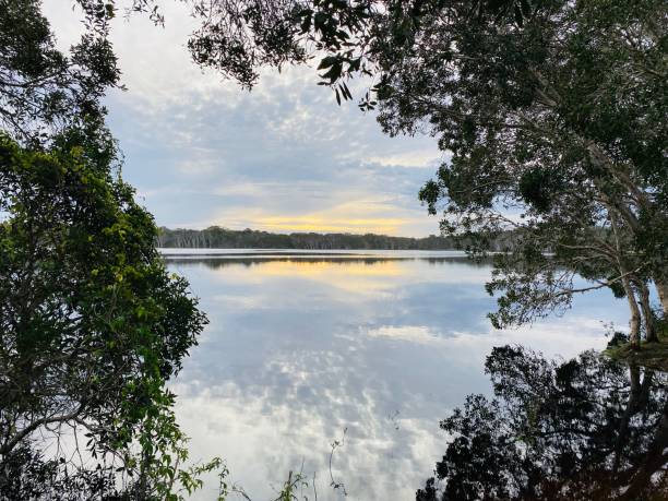 istock Lake Ainsworth Sunset Reflections - Lennox Head NSW 1224563221