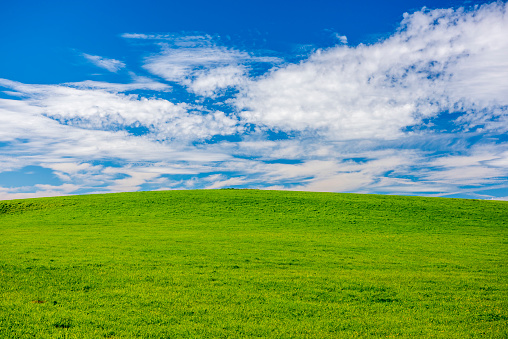background with meadow, sky and copy space