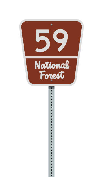 illustrazioni stock, clip art, cartoni animati e icone di tendenza di segnale stradale della national forest - numero 59