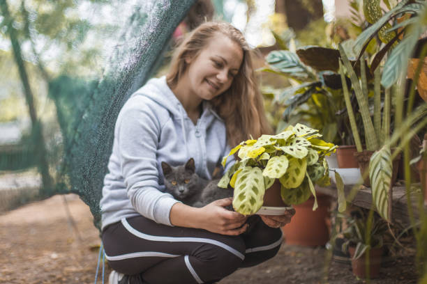 istock Outdoor garden 1224568623