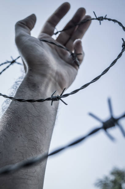 istock Man hand in barb wire concept for human rights - close up - blue toned image 1224570881