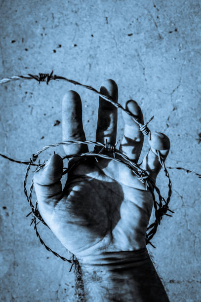 Man hand in barb wire concept for human rights - close up - blue toned image