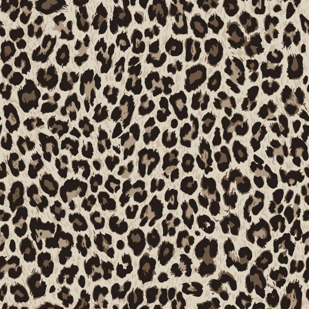 wektorowy bezszwowy wzór. tekstura skóry lamparta - zoo animal spotted undomesticated cat stock illustrations