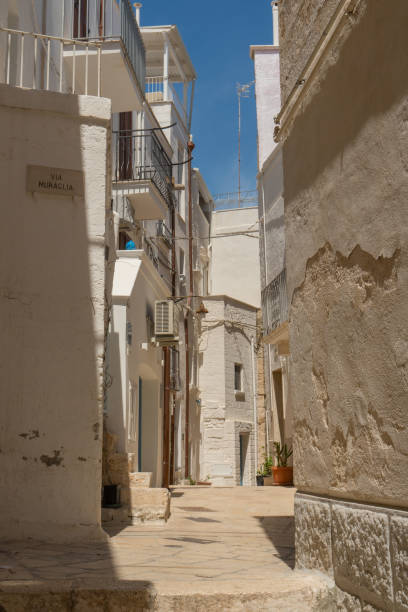 istock Italy Polignano al Mare 1224575165