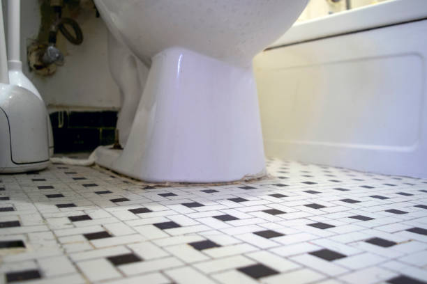 istock POV shot from the bathroom floor 1224578659