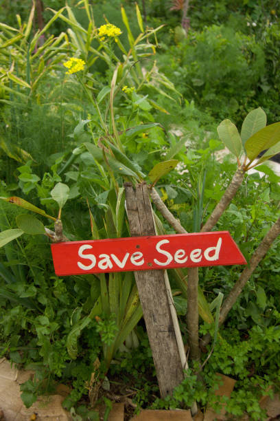 istock Save Seeds Sign in an Organic Garden 1224578722