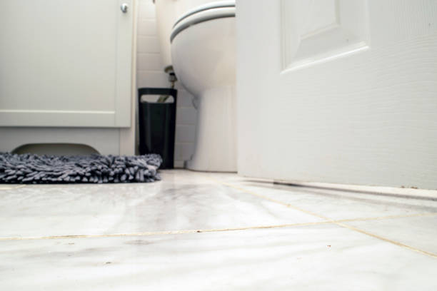 istock POV shot from the bathroom floor 1224579163