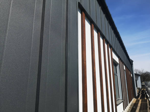 metal cladding of a building