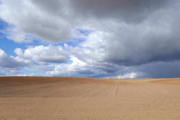 Cultivated agricultural field and cloudy sky. Spring landscape and background