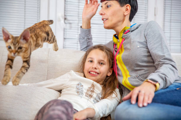 Mother and Daughter Relaxing Together on Sofa Looking at Devon Rex Cat Jumping Next To Them - stock photo
