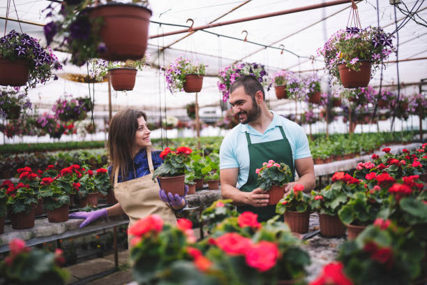 istock Young Couple Working Together In Flower Greenhouse. 1224584821