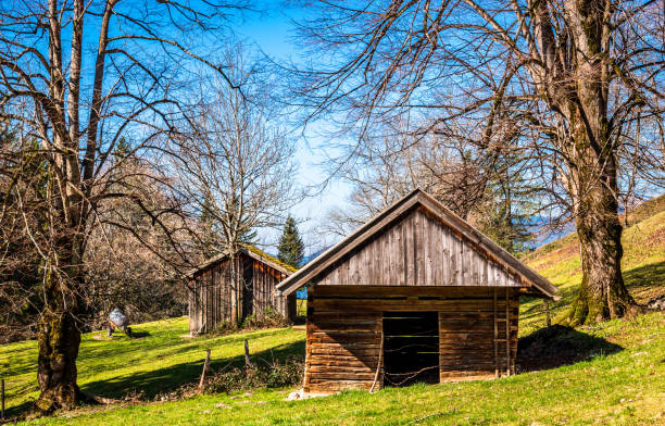 Oberiberg, Switzerland - August 1, 2019: Self build old wooden shack above Oberiberg, Switzerland during sunny day in August 2019