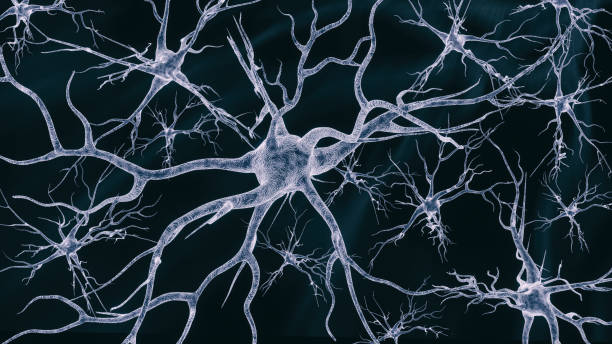 Neural cells network on a dark background stock photo