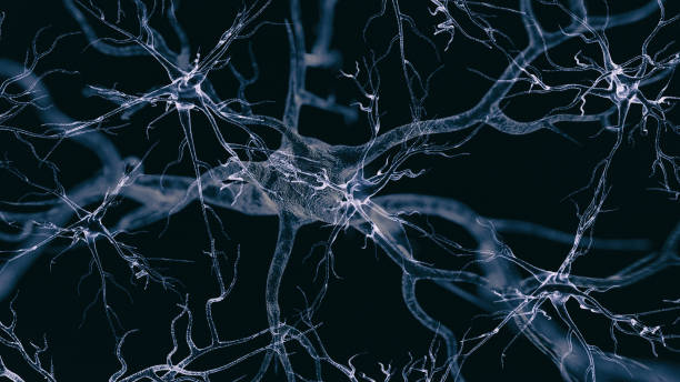 Image of neural cells stock photo