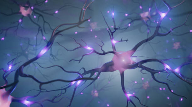 3d image of neurons stock photo