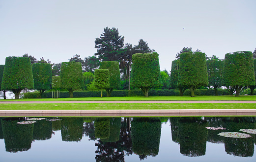 Colleville-sur-Mer, a commune in the Calvados department in Normandie region in northwestern France. Landscape design, neatly trimmed trees. Beautiful landscaped garden with green trees trimmed in the shape of a cylinder with reflection in water.