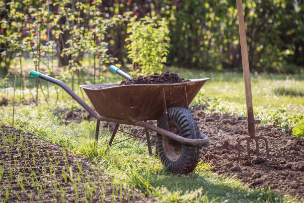 istock Wheelbarrow with organic compost and pitchfork 1224598147