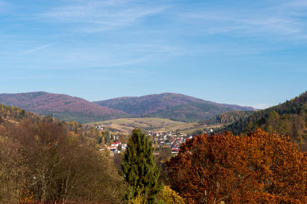 istock Sensory Gardens in Muszyna 1224601599