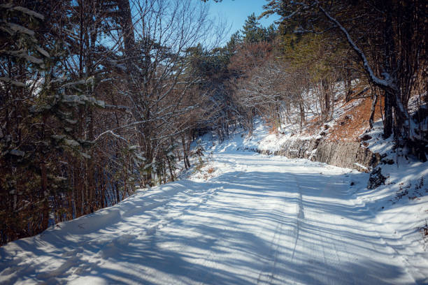 istock Snowy Road in Winter Forest. Awesome winter landscape. 1224602504