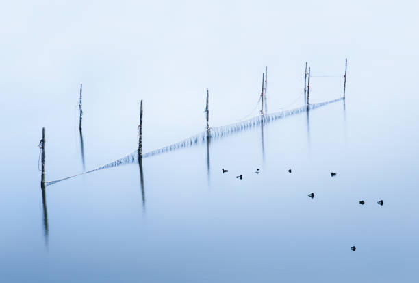 Abstract seascape image of fishing nets in the ocean with birds floating on the water