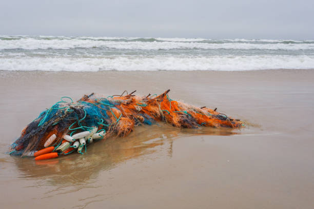 istock Fishing nets on a sand after sea storm. Environmental pollution 1224605300