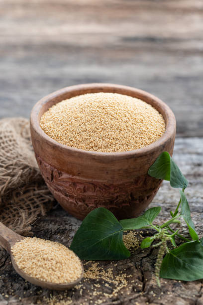 grano de amaranto orgánico crudo en una planta de bowl witnamaranth sobre fondo rústico de madera. concepto de alimentos saludables y coloridos sin gluten - quinoa spoon wood photography fotografías e imágenes de stock