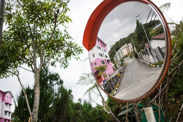 istock Cameron Highlands, Malaysia 1224608381