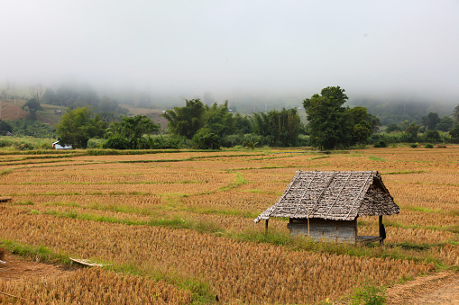 Kuala, North Sumatra, Indonesia - January 25th 2024: Wooden farmhouse beside the road in a impoverished village