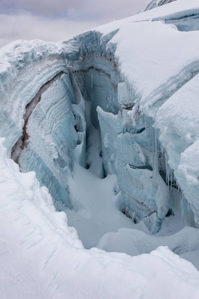 istock Cotopaxi National Park 1224610837