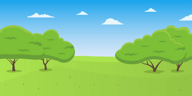 Nature Landscape Cartoon Park Background With Green Grass Trees And Blue Sky  Vector Illustration Stock Illustration - Download Image Now - iStock
