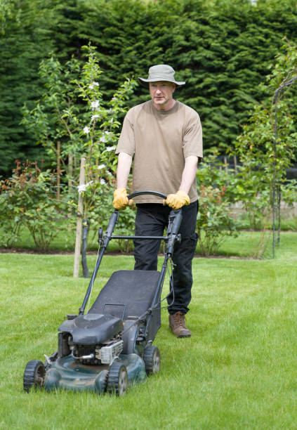 istock Man mowing lawn in a garden in summer, UK 1224610956