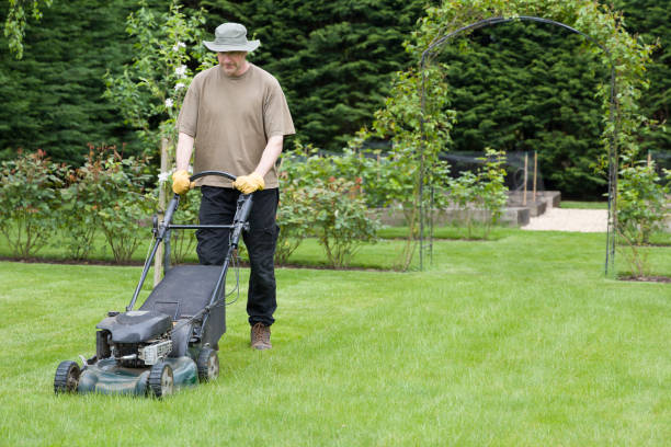 istock Man mowing grass lawn with mower in summer, UK 1224611194