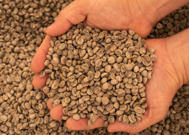istock hands scoop dried coffee beans 1224612350