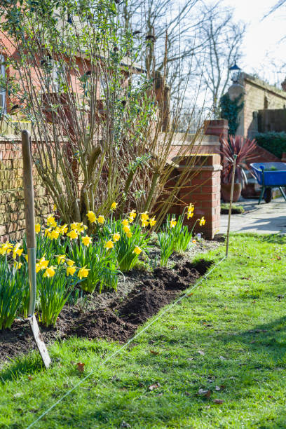 istock Digging a flower bed or garden border, gardening in spring, UK 1224612604