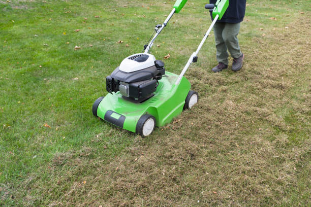 Scarify lawn, lawn aeration using a scarifier Scarifying lawn with a scarifier. Person dethatching moss in a backyard, lawn maintenance, UK thatched roof stock pictures, royalty-free photos & images