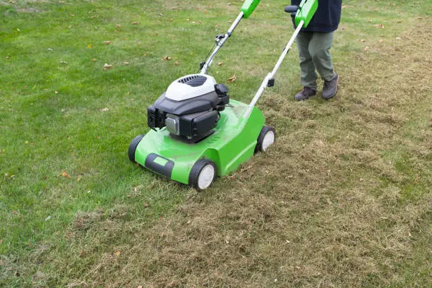 Photo of Scarify lawn, lawn aeration using a scarifier