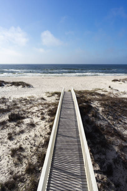 istock Walkway out to the beach in summer 1224613650