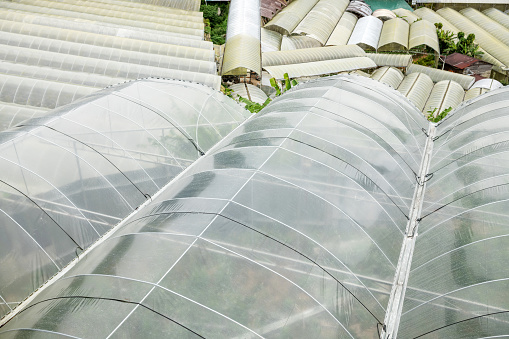 Cameron Highlands, Malaysia: View over greenhouses from above.