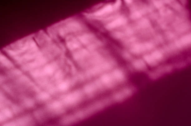 istock Abstract shadows from branches and leaves on pink. 1224615691