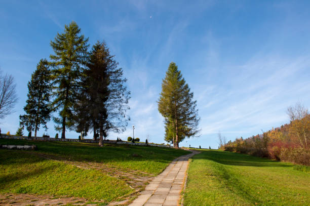 istock Sensory Gardens in Muszyna 1224620480