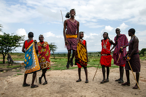 African Masai Warriors running at Sunrise with Acacia Tree