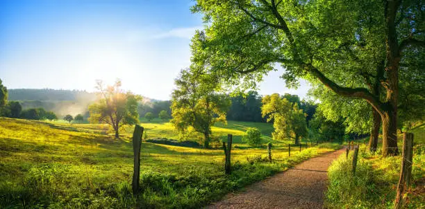 Rural landscape with a path, trees and meadows on hills, blue sky and pleasant warm sunshine from the low sun