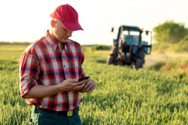 landbouwer of agronoom die zich in het tarwegebied bevinden dat een smartphone houdt. - andrej stockfoto's en -beelden