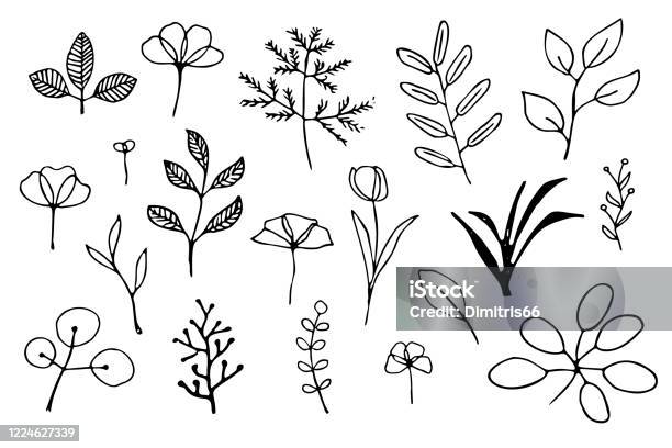 Met De Hand Getekende Planten Stockvectorkunst en meer beelden van Blad - Blad, Bloem - Plant, Doedel