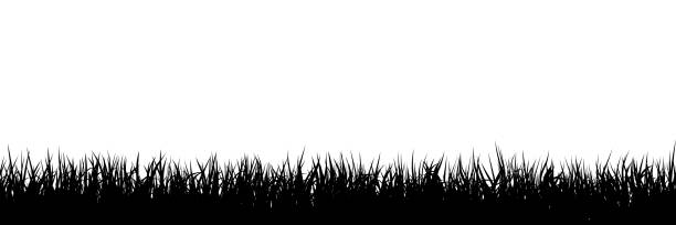 잔디 실루엣 원활한 배경 - vector grass stock illustrations