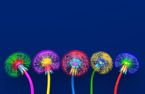 특이한 다채로운 색상의 꽃 민들레 다섯 꽃의 꽃다발. 파란색 배경에 밝은 여러 가지 색의 추상 민들레. 창조적 인 개념 일러스트레이션. 오피 공간. 3d 렌더링 - 창의력 이미지 뉴스 사진 이미지