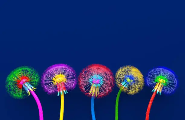 Photo of Bouquet of five flowers of blossoming dandelions of unusual colorful colors. Bright multi-colored abstract dandelions on a blue background. Creative conceptual illustration. opy space. 3D render