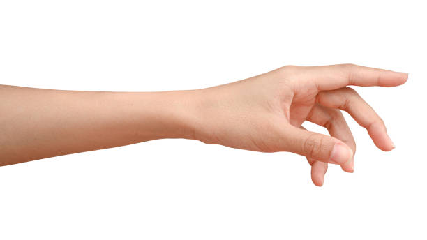 istock Hand open and ready to help or receive. Gesture isolated on white background with clipping path. 1224635222